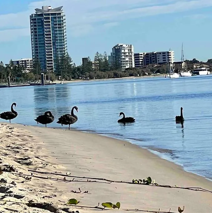 Broadwater Parklands Paradise-One & Two Bedroom Apartments Gold Coast 0*,